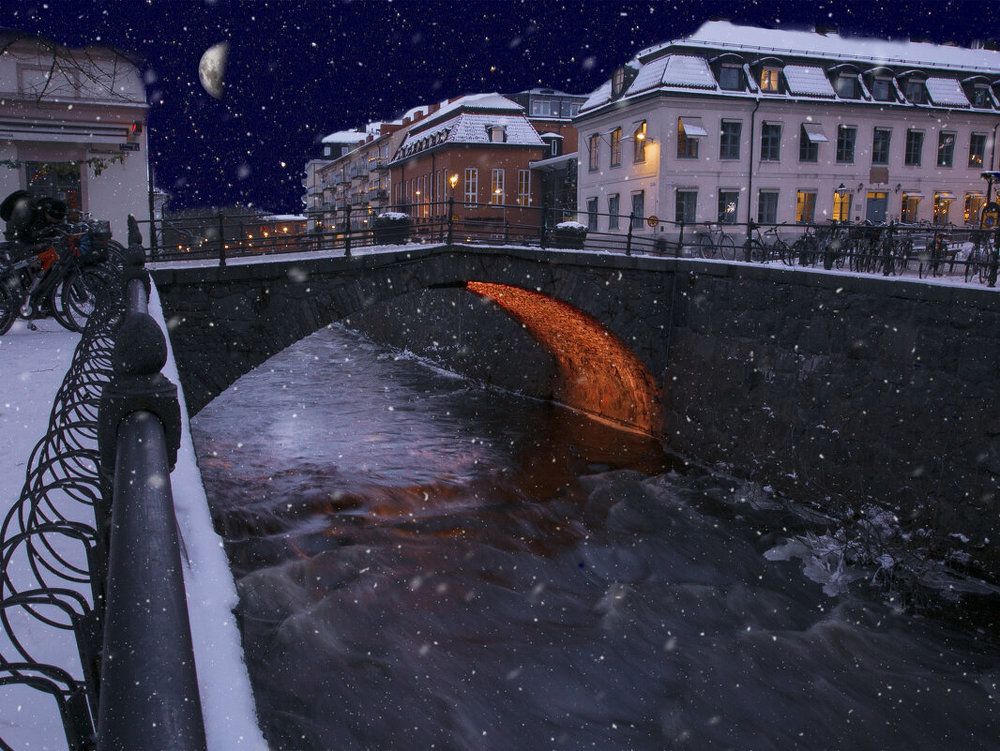 Photograph by Liudmila Drake