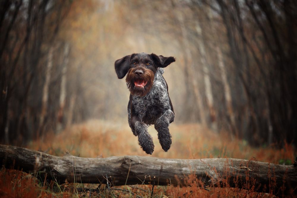 Photograph by Наталия Поникарова