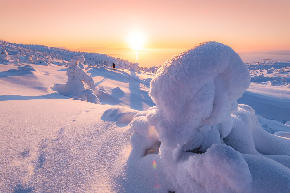 Photograph by Алексей Соколенко