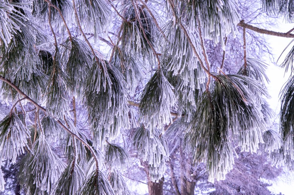 Photograph by Sergey Larin