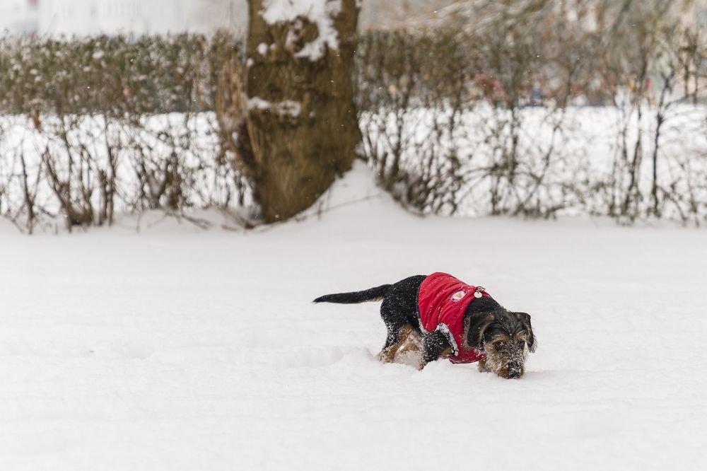 Photograph by Mariusz Kusy