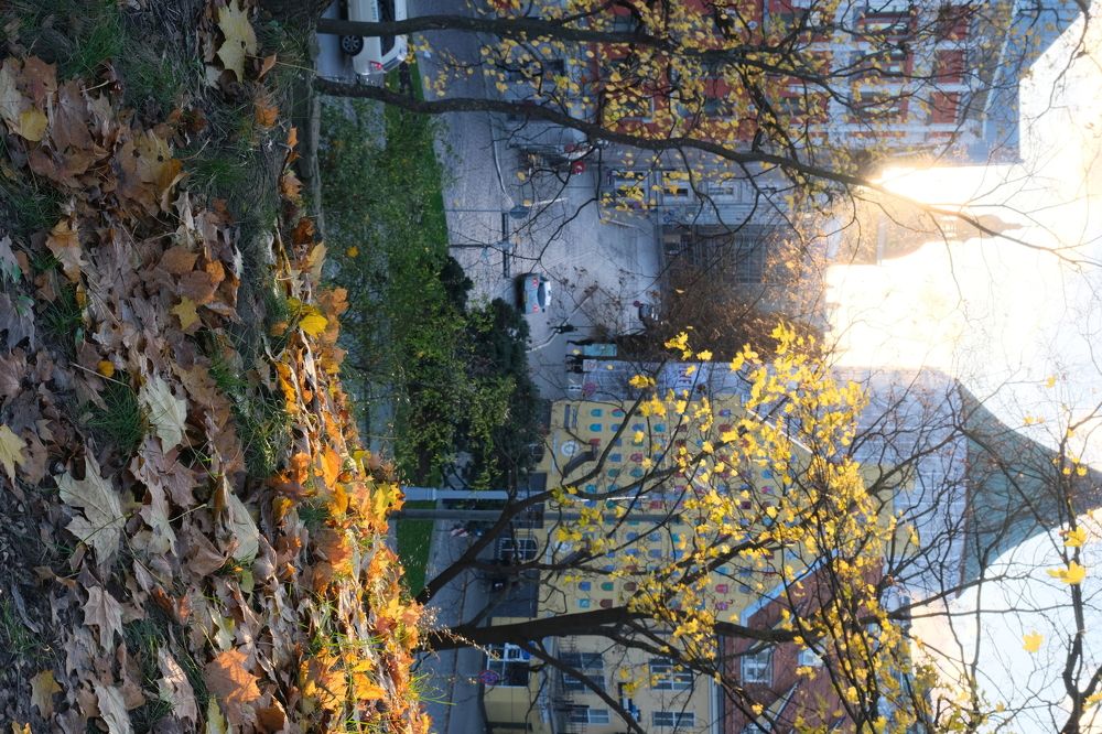 Photograph by Александр Творогов