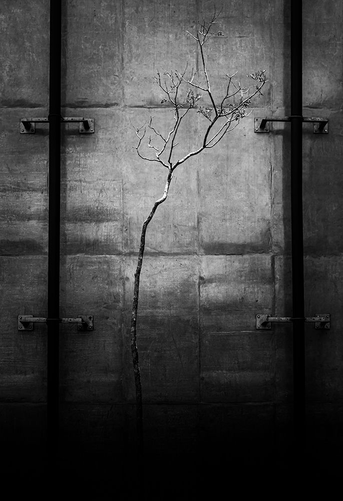 Photograph by Raul Aragon