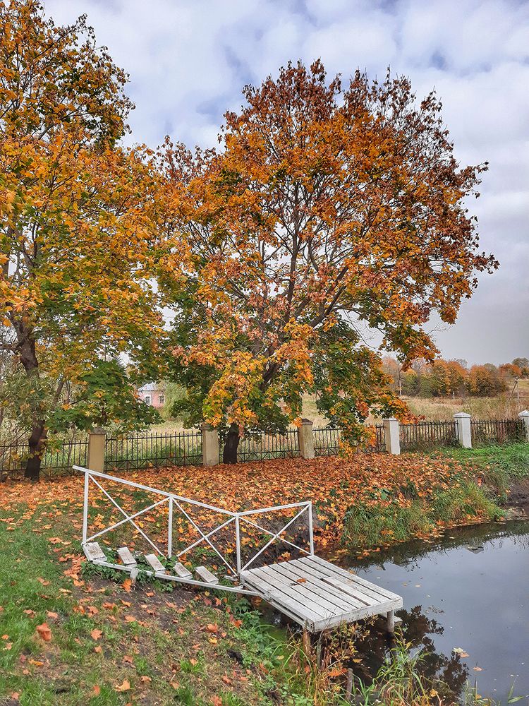 Photograph by Михаил Рассказ