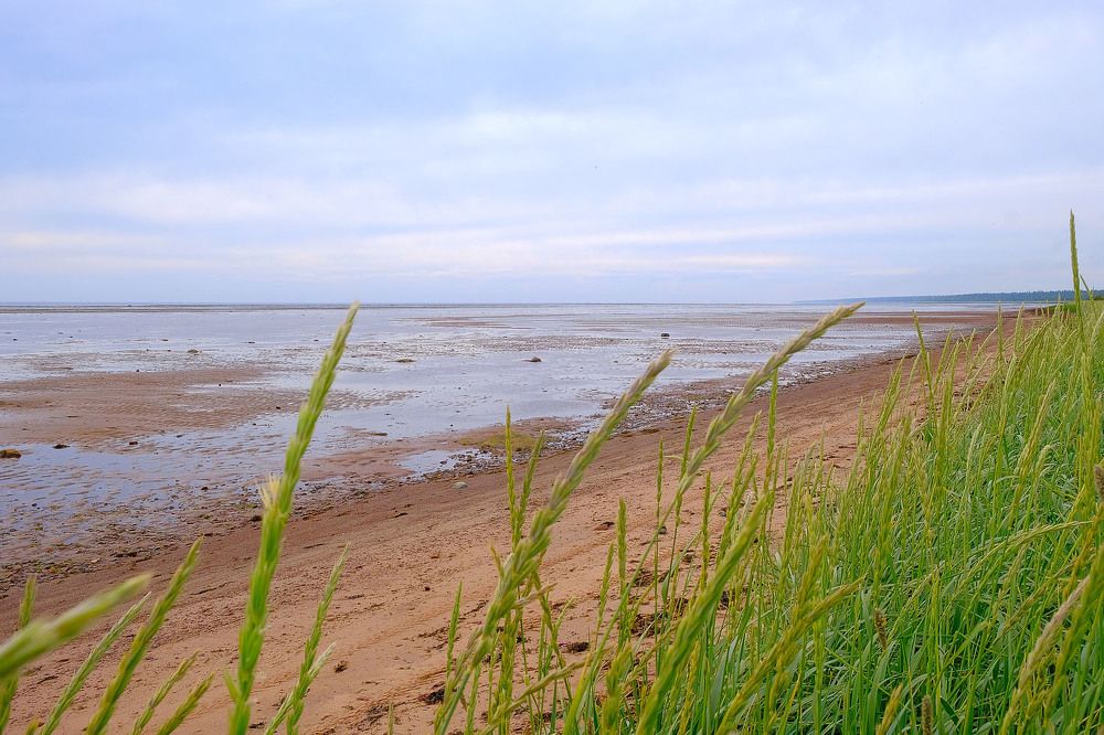 Photograph by Игорь Саломатин