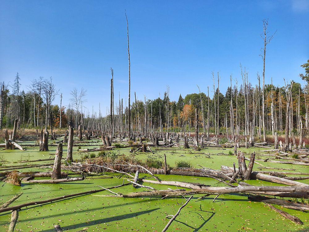 Photograph by Михаил Рассказ