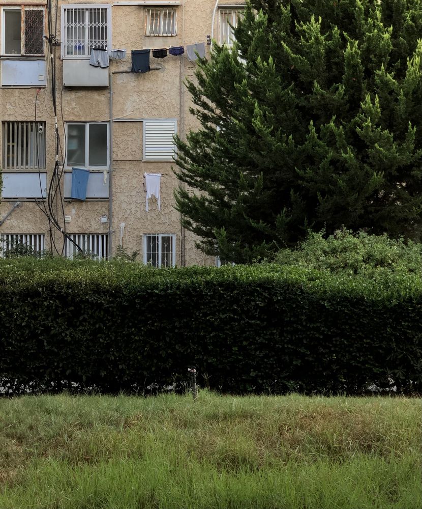 Photograph by Tania Litmanovich