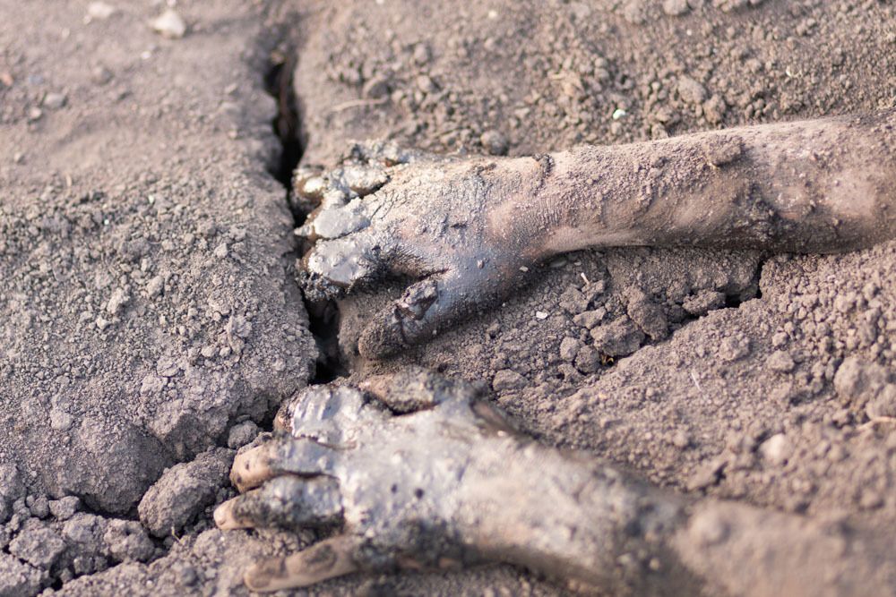 Photograph by Натали Урмакова