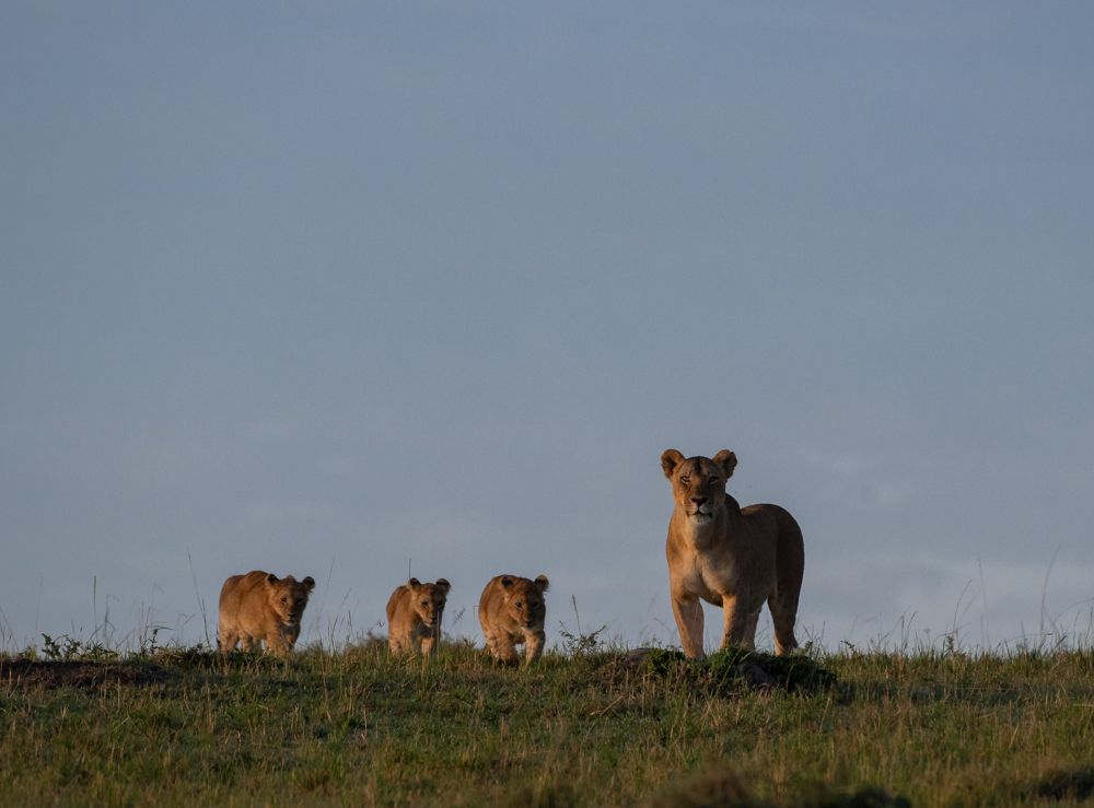 Cubs day out with her mother