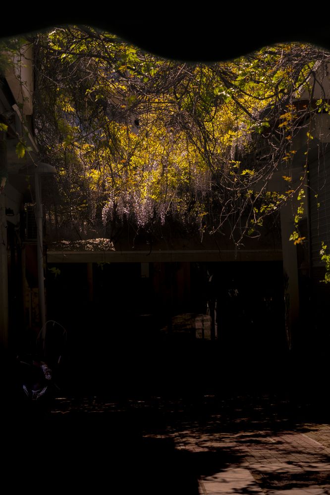 Photograph by Elena Varol