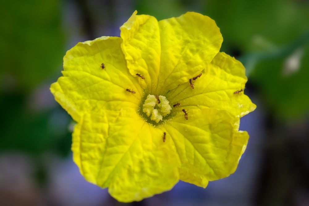 Photograph by Mahmudul Hasan