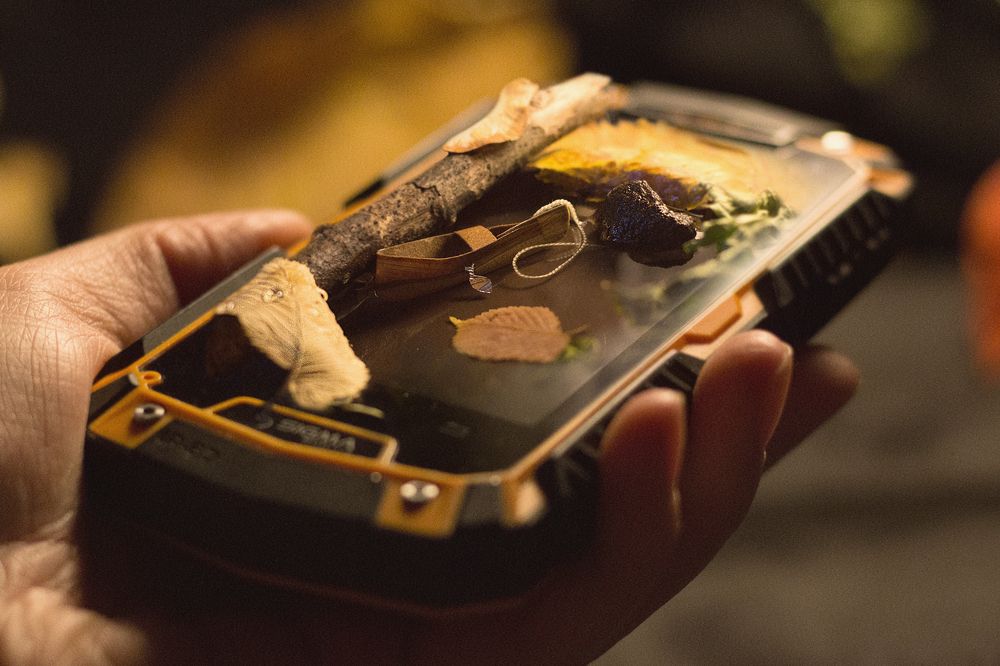 Photograph by Вероника Мищенко