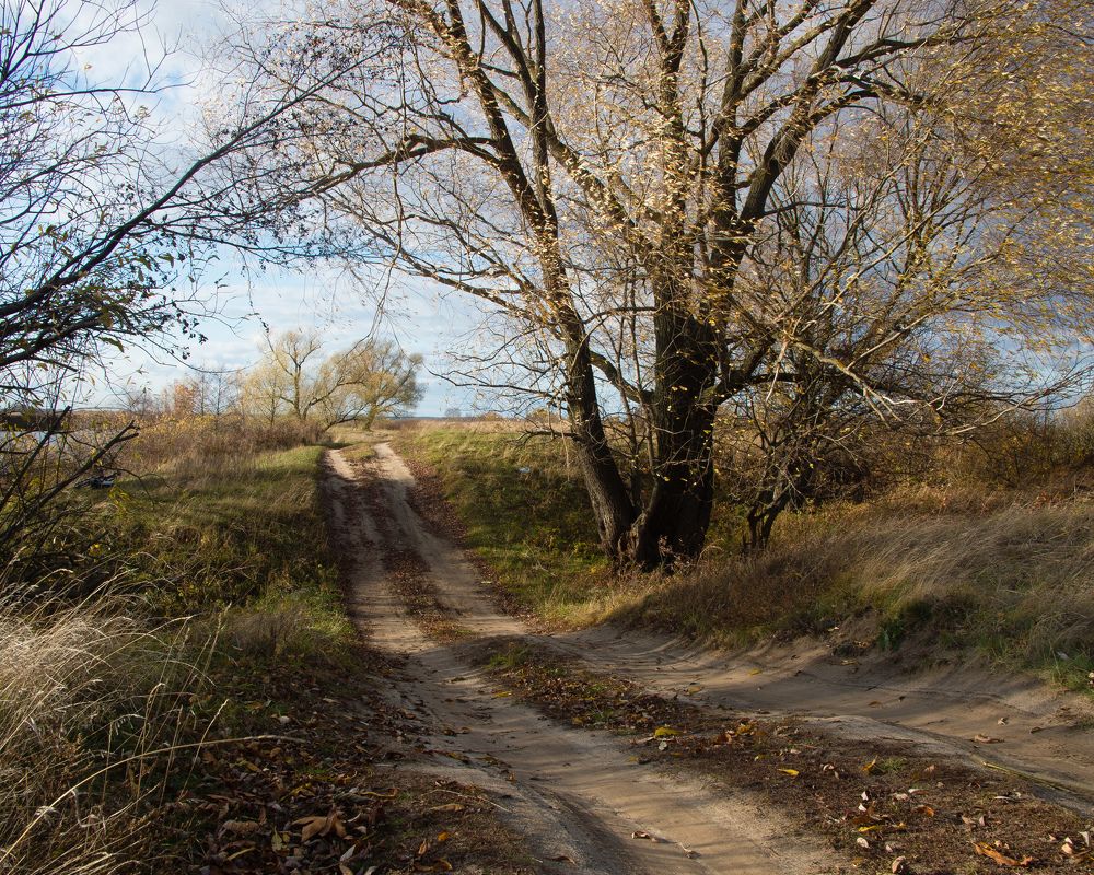 The road to autumn ...