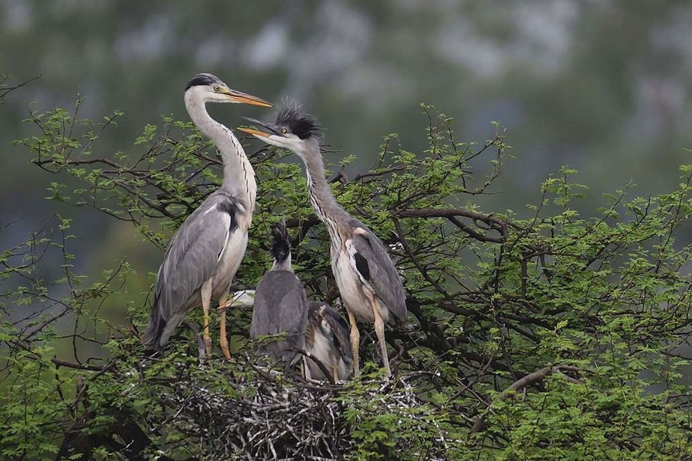 Photograph by SACHIN MATKAR