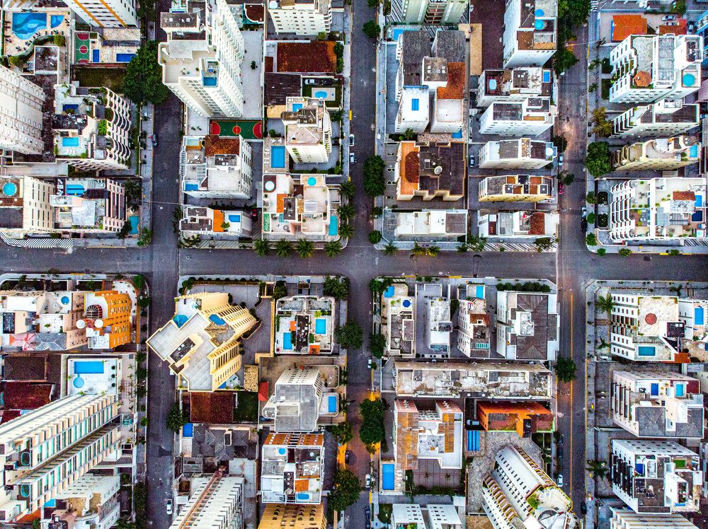 Фотография автора david xavier de carvalho