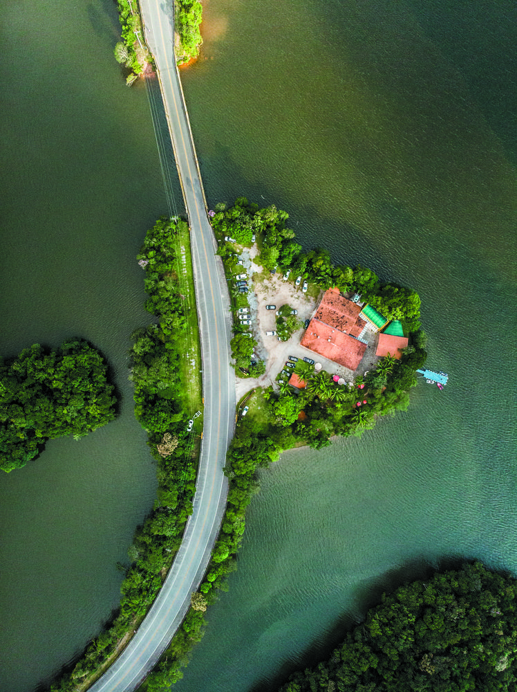 Фотография автора david xavier de carvalho