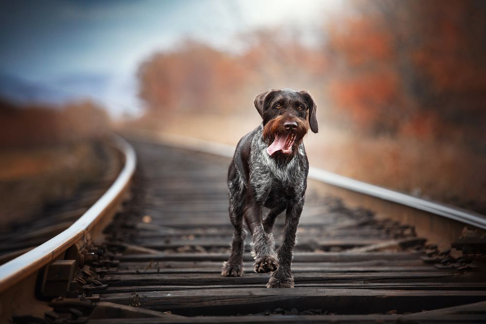 Photograph by Наталия Поникарова