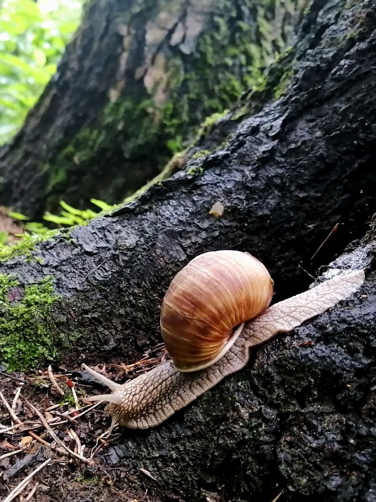 Photograph by Yuliya Haliuzhyna