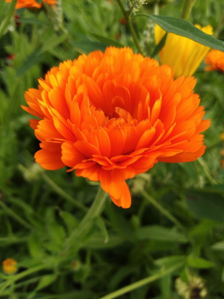 Photograph by Анастасия Мальцева