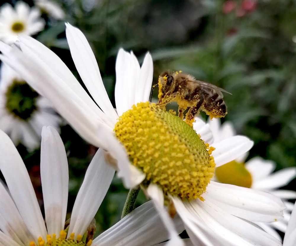 Photograph by Yuliya Haliuzhyna