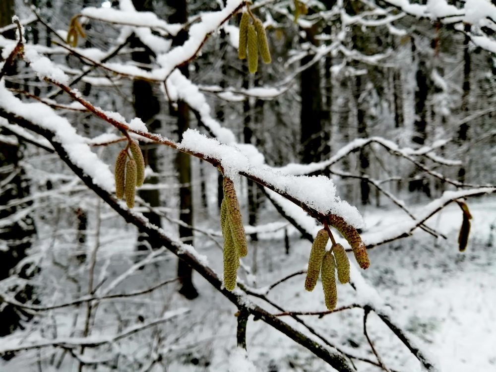 Photograph by Yuliya Haliuzhyna