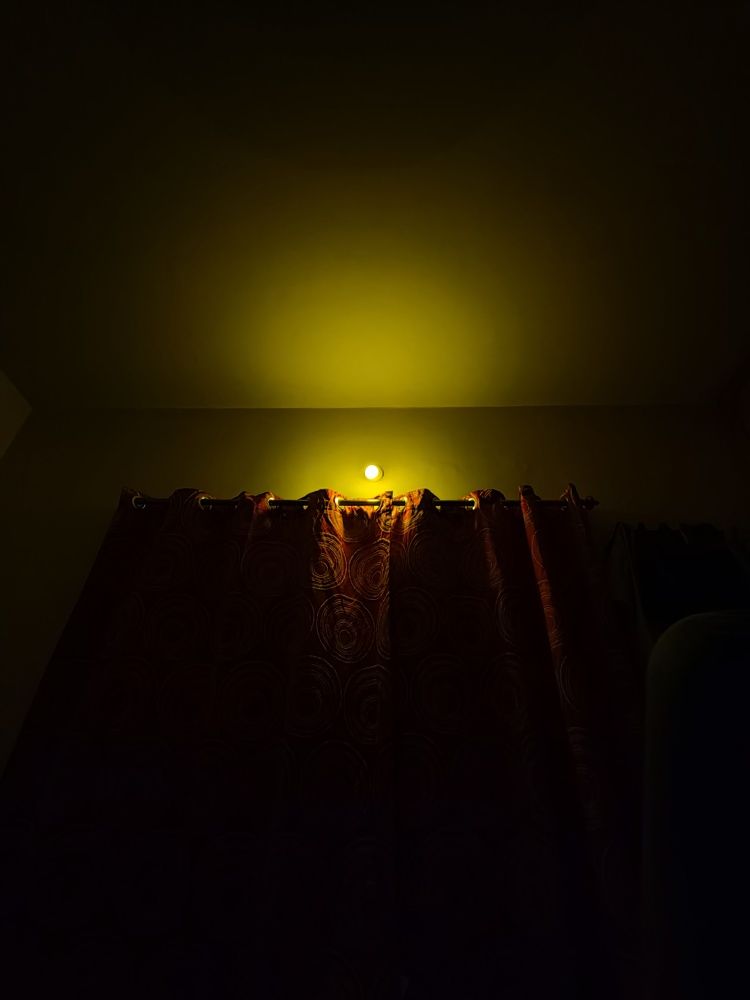 Photo #5895839