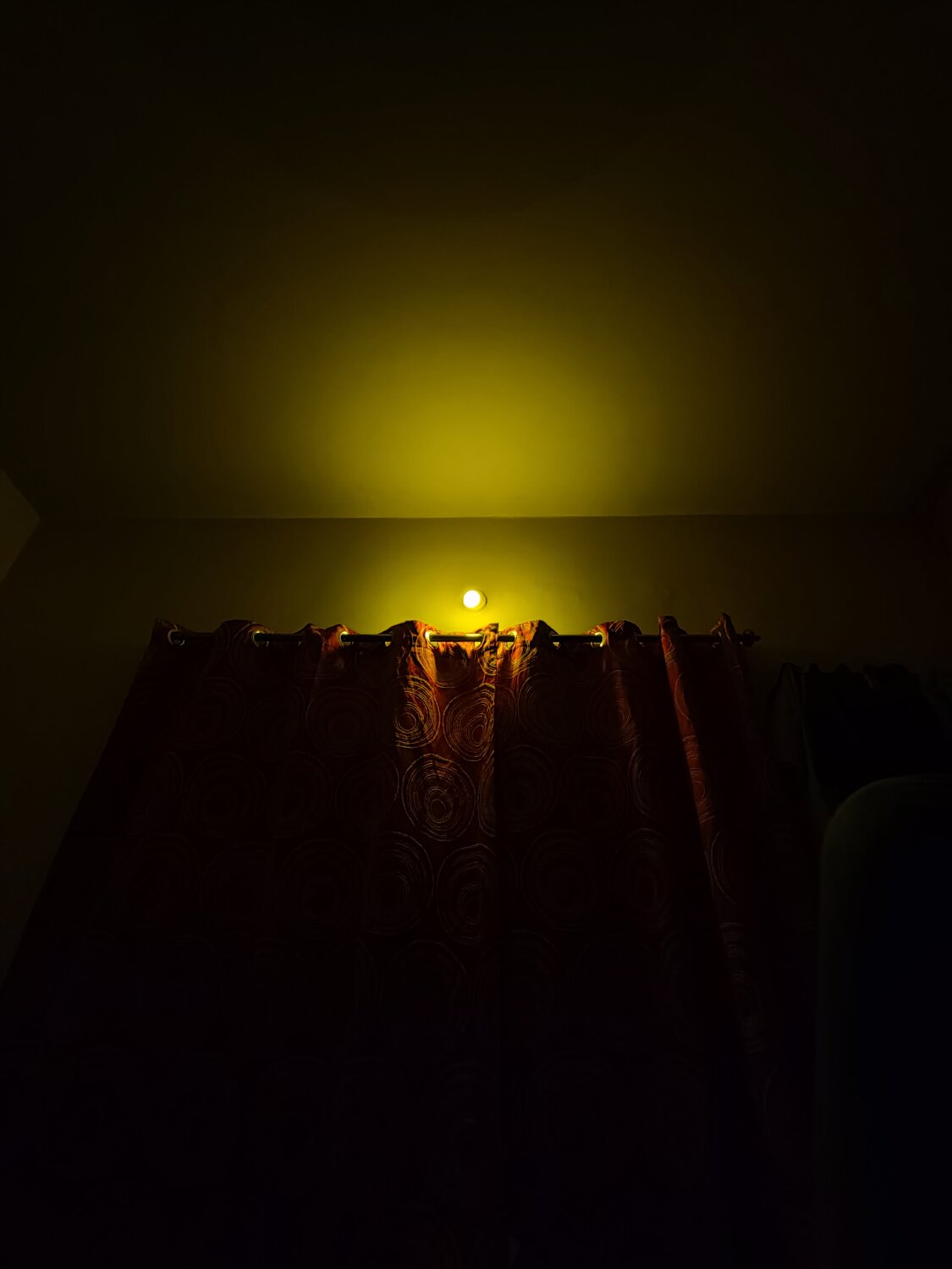 Photo #5895839
