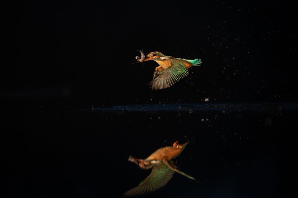 Photograph by Alena Bednářová