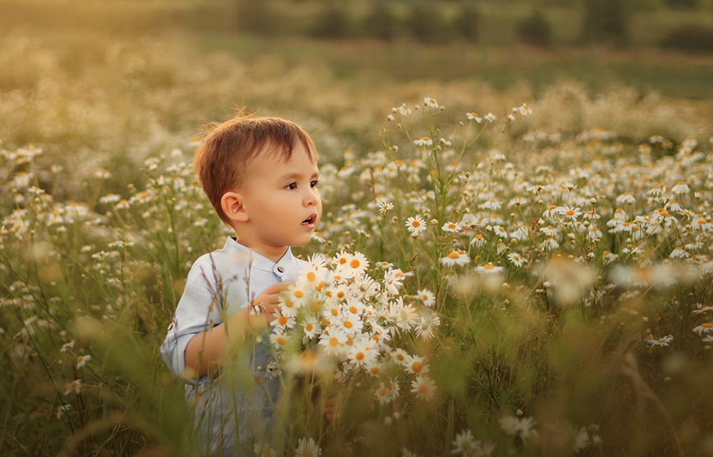 Photograph by Эльвира Афаизова
