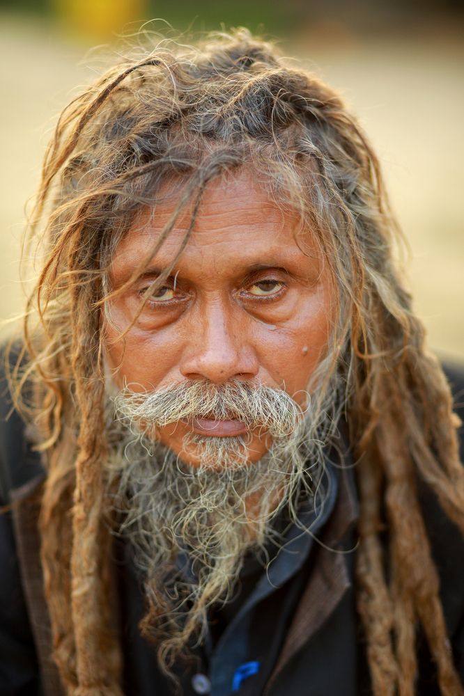 Фотография автора Shanu Sherief