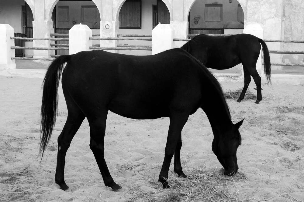 Photograph by Ajeesh Puthiyadath