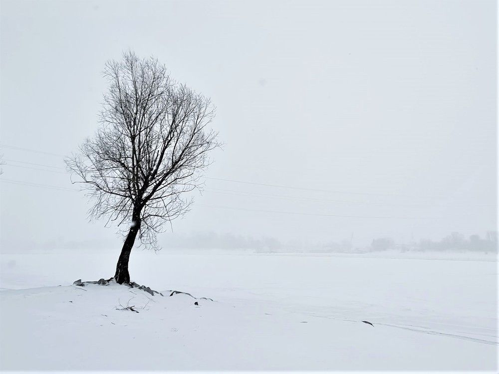 Photograph by Сергей Кесаев