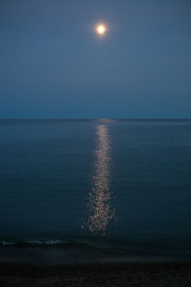 Фотография автора Алексей Попов