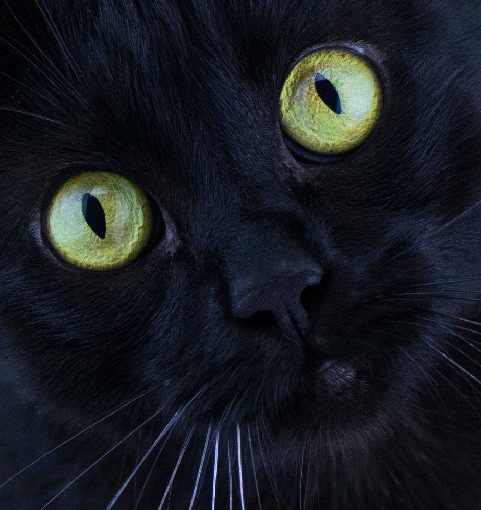 Photograph by Hanna Zapylaieva