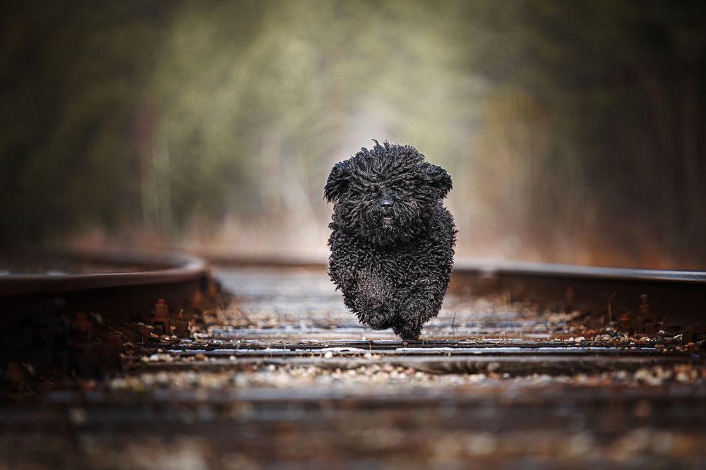 Photograph by Наталия Поникарова