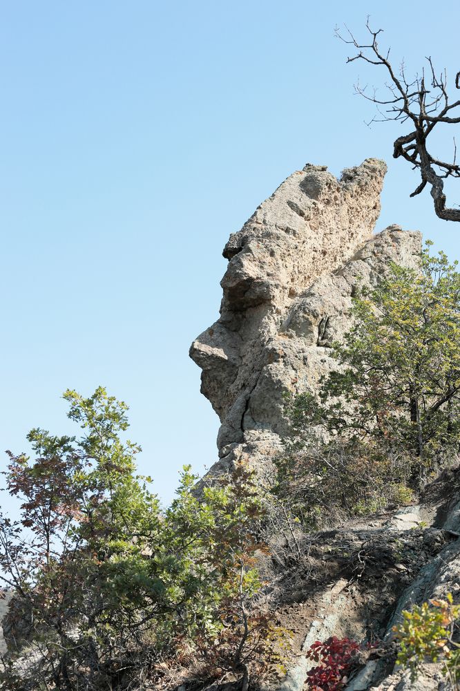 Фотография автора Алексей Попов