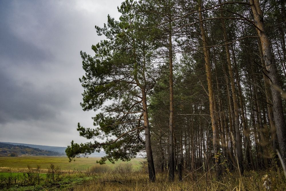 Photograph by Юлия Авдеева