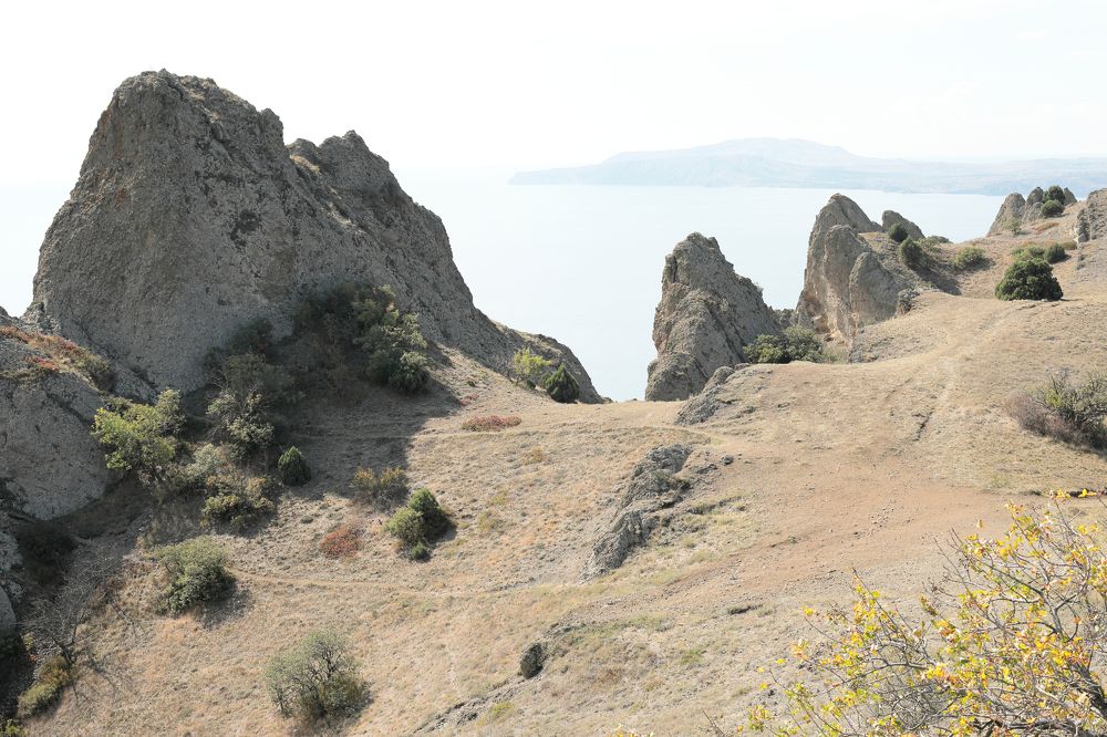 Фотография автора Алексей Попов