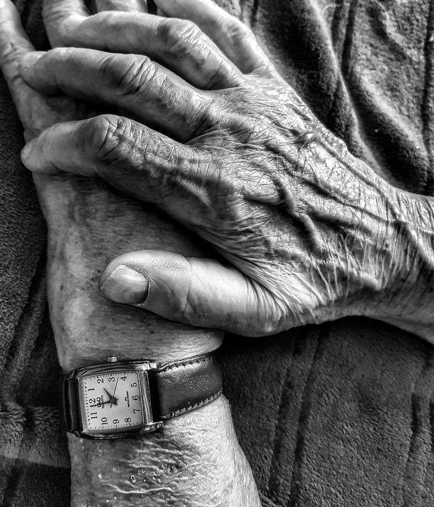 Photograph by Анастасия Петухова