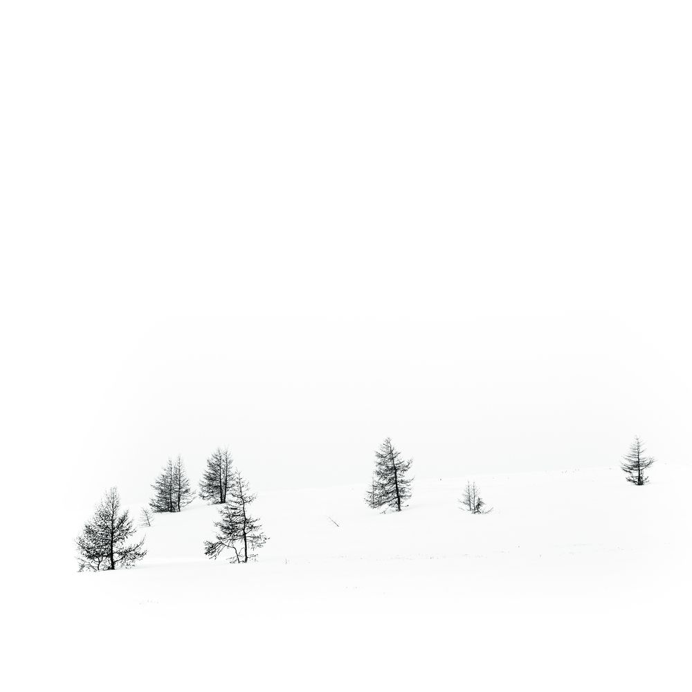 Тувинская графика