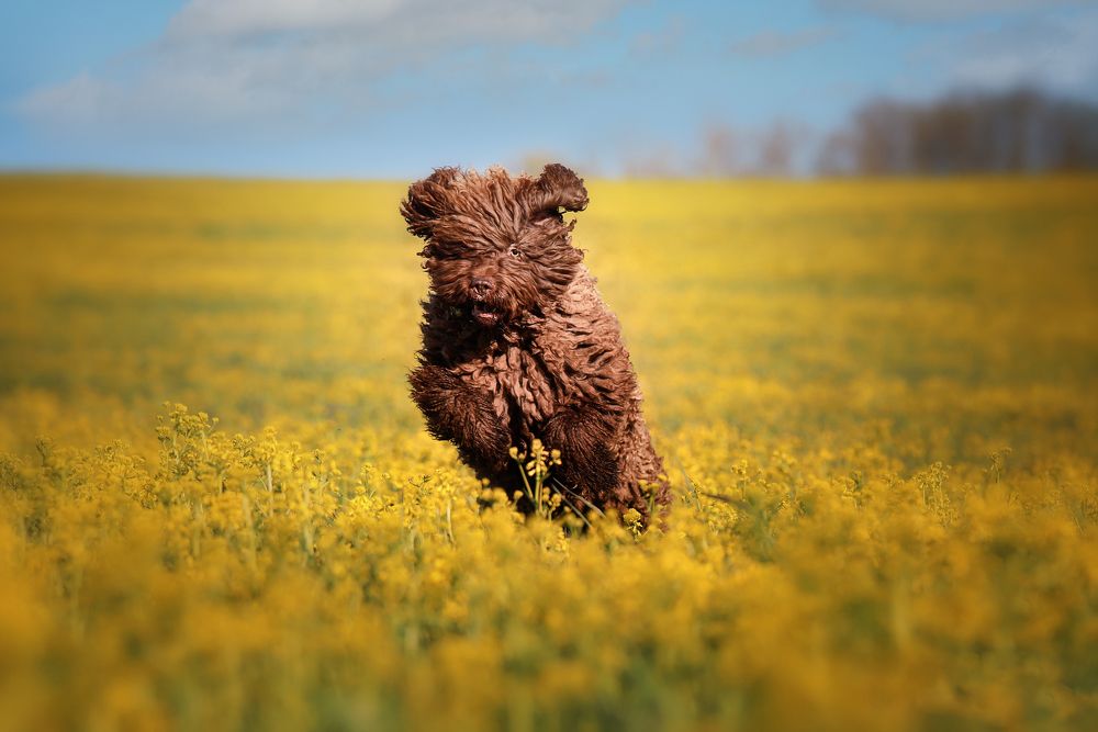 Photograph by Наталия Поникарова