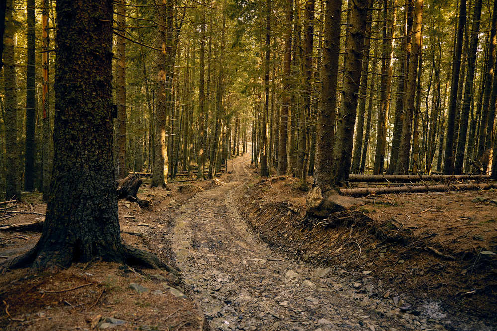 Photograph by Александр Серняк