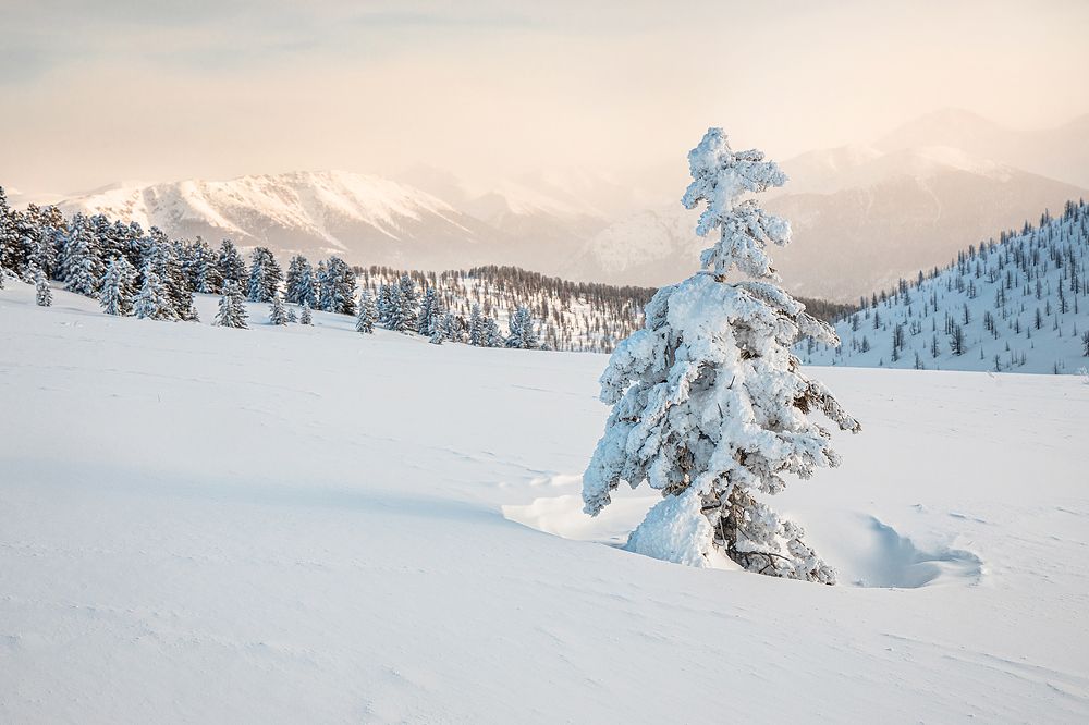 На хребте Обручева