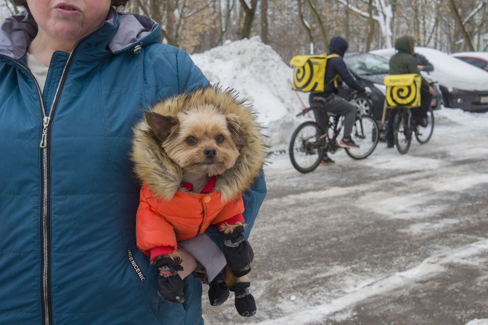 Photograph by Екатерина Шилкина