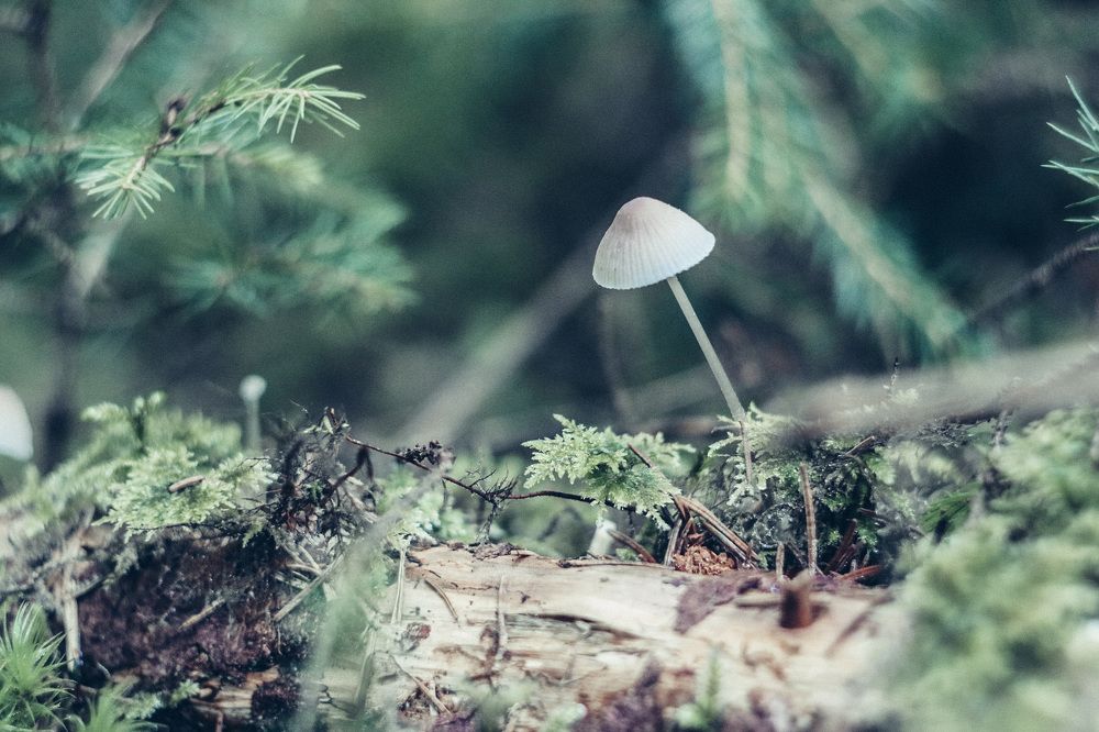 Photograph by Yana Kanibolotska