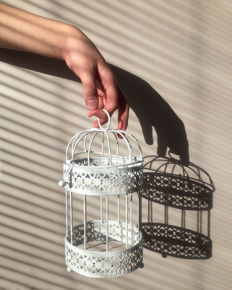 Photograph by Алена Шаргина