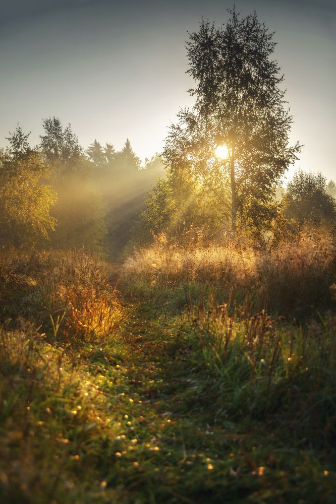 Photograph by Евгения Ботова