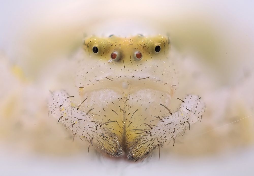 Photograph by Валерия Зверева