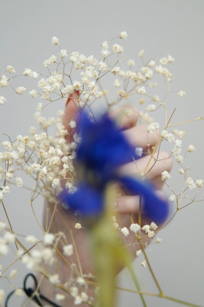 Photograph by Илья Бузаев