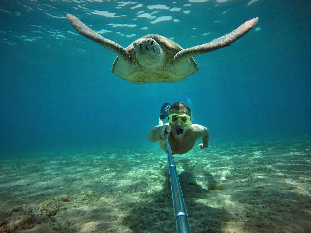 Photograph by Александр Серняк